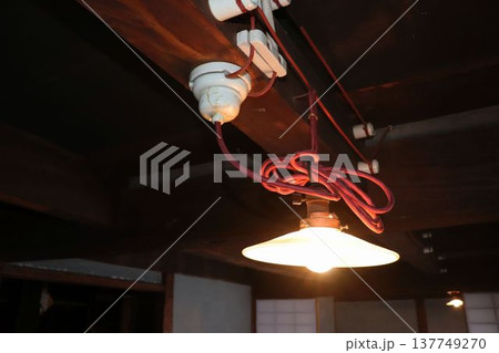 裸電球 裸電球 137749270