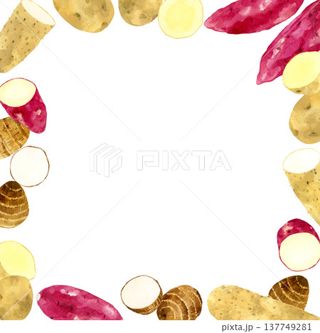 色々なお芋のフレーム　野菜の手描き水彩イラスト背景素材 137749281