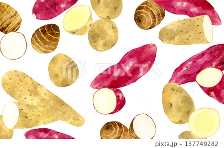 色々なお芋の背景　野菜の手描き水彩イラスト素材 137749282