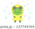 雨の日に合羽を着たカエルのイラスト 137749769