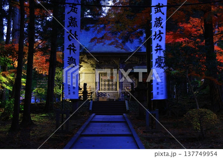 紅葉したモミジのトンネル 紅葉したモミジのトンネル 137749954