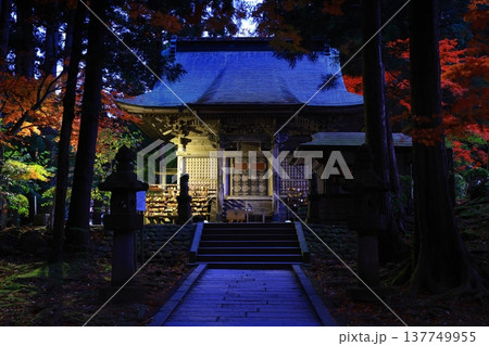 紅葉したモミジのトンネル 137749955