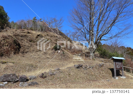 赤木城跡の城郭(三重県熊野市) 赤木城跡の城郭(三重県熊野市) 137750141