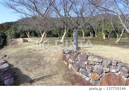 赤木城 本丸跡の石垣（三重県熊野市） 137750146
