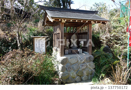 東京都青梅市の梅林山天澤院の太子堂 東京都青梅市の梅林山天澤院の太子堂 137750172