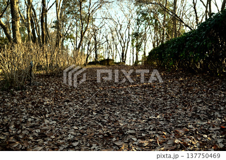 落ち葉に覆われた山道 137750469