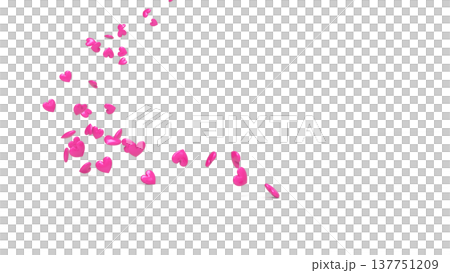 白色背景上的3D立體愛心舞動 抽象背景：愛、感恩、慶祝、情人節、婚禮 137751209