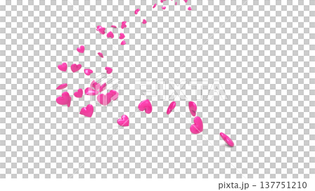 白色背景上的3D立體愛心舞動 抽象背景：愛、感恩、慶祝、情人節、婚禮 137751210