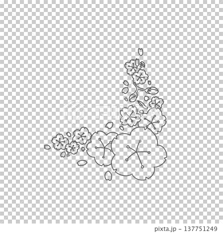 Hand-drawn cherry blossom corner material 137751249