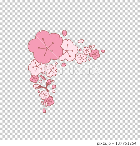 手描きの桜の花のコーナー素材 137751254