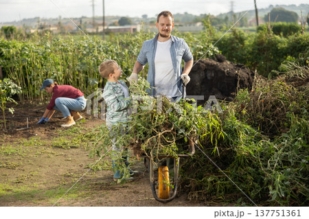 Young man and boy carrying weeds in wheelbarrow Young man and boy carrying weeds in wheelbarrow 137751361