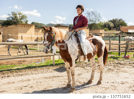 Young woman riding horse in paddock Young woman riding horse in paddock 137751652