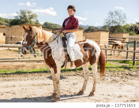 Young woman riding horse in paddock Young woman riding horse in paddock 137751653