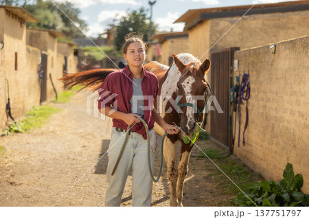 Young woman leading horse for walk Young woman leading horse for walk 137751797