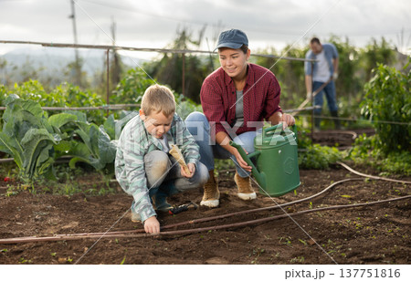 Woman and son planting seeds on farm 137751816