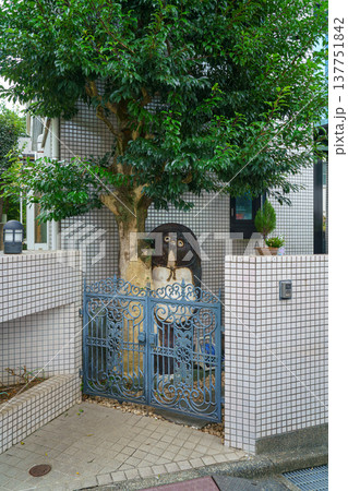 Tokyo, Japan - Sep 30 2024, vertical view of the porch of the house, behind the metal gate under the tree is a statue of the Japanese Yokai Tanuki, without people, in the daytime, Tokyo, Japan 137751842