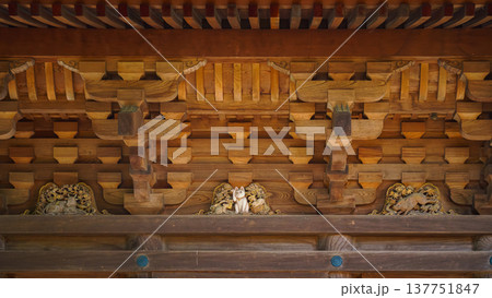 Tokyo, Japan - Sep 30 2024, A close-up view of decorated wooden wall under roof of pagoda, above entrance sits a small statuette of the alluring white cat Maneki Neko, in Gotokuji Temple, Tokyo, Japan 137751847