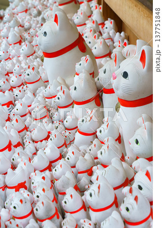 Tokyo, Japan - Sep 30 2024, A close-up view of many multi-sized white beckoning cat figure of Maneki neko with red ears and noses displayed at Gotokuji Temple, without people, at daytime, Tokyo, Japan Tokyo, Japan - Sep 30 2024, A close-up view of many multi-sized white beckoning cat figure of Maneki neko with red ears and noses displayed at Gotokuji Temple, without people, at daytime, Tokyo, Japan 137751848