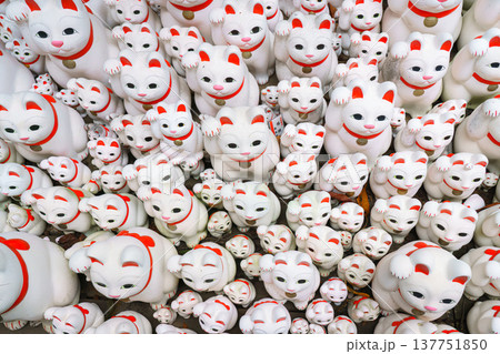 Tokyo, Japan - Sep 30 2024, A close-up view of many multi-sized white beckoning cat figure of Maneki neko with red ears and noses displayed at Gotokuji Temple, without people, at daytime, Tokyo, Japan Tokyo, Japan - Sep 30 2024, A close-up view of many multi-sized white beckoning cat figure of Maneki neko with red ears and noses displayed at Gotokuji Temple, without people, at daytime, Tokyo, Japan 137751850
