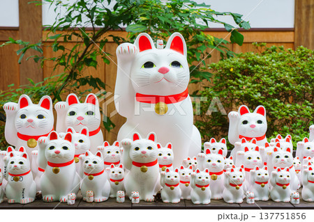 Tokyo, Japan - Sep 30 2024, A close-up view of many multi-sized white beckoning cat figure of Maneki neko with red ears and noses displayed at Gotokuji Temple, without people, at daytime, Tokyo, Japan Tokyo, Japan - Sep 30 2024, A close-up view of many multi-sized white beckoning cat figure of Maneki neko with red ears and noses displayed at Gotokuji Temple, without people, at daytime, Tokyo, Japan 137751856