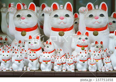 Tokyo, Japan - Sep 30 2024, A close-up view of many multi-sized white beckoning cat figure of Maneki neko with red ears and noses displayed at Gotokuji Temple, without people, at daytime, Tokyo, Japan Tokyo, Japan - Sep 30 2024, A close-up view of many multi-sized white beckoning cat figure of Maneki neko with red ears and noses displayed at Gotokuji Temple, without people, at daytime, Tokyo, Japan 137751858