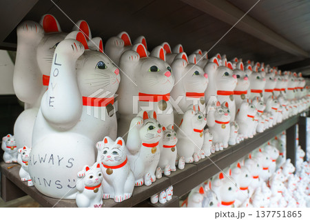 Tokyo, Japan - Sep 30 2024, A close-up view of many multi-sized white beckoning cat figure of Maneki neko with red ears and noses displayed at Gotokuji Temple, without people, at daytime, Tokyo, Japan 137751865