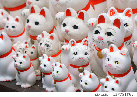 Tokyo, Japan - Sep 30 2024, A close-up view of many multi-sized white beckoning cat figure of Maneki neko with red ears and noses displayed at Gotokuji Temple, without people, at daytime, Tokyo, Japan Tokyo, Japan - Sep 30 2024, A close-up view of many multi-sized white beckoning cat figure of Maneki neko with red ears and noses displayed at Gotokuji Temple, without people, at daytime, Tokyo, Japan 137751866