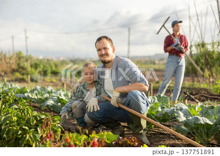 Young man and boy with lettuce beds in field Young man and boy with lettuce beds in field 137751891
