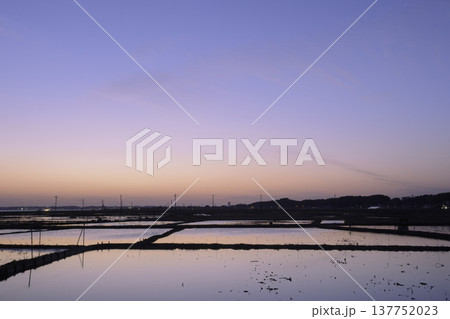 茨城県土浦市・霞ヶ浦湖畔の冬のレンコン畑の夕景 茨城県土浦市・霞ヶ浦湖畔の冬のレンコン畑の夕景 137752023