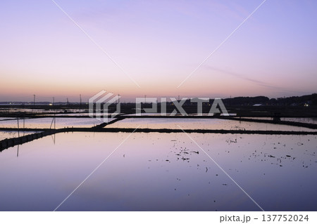 茨城県土浦市・霞ヶ浦湖畔の冬のレンコン畑の夕景 茨城県土浦市・霞ヶ浦湖畔の冬のレンコン畑の夕景 137752024