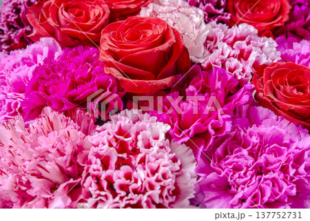 カラフルなバラの花 137752731
