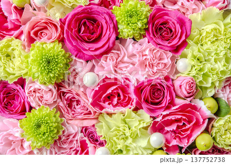 カラフルなバラの花 カラフルなバラの花 137752738