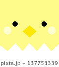 かわいいひよこの背景 137753339
