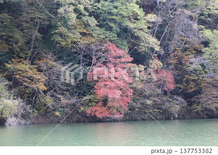 秋の帝釈峡　神龍湖 137753382