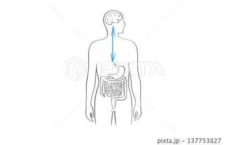 Gut Brain Connection Gut Brain Connection 137753827