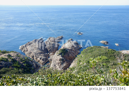 高知県土佐清水市　龍宮神社と黒潮の海 137753841