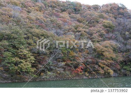 秋の帝釈峡 神龍湖 秋の帝釈峡 神龍湖 137753902