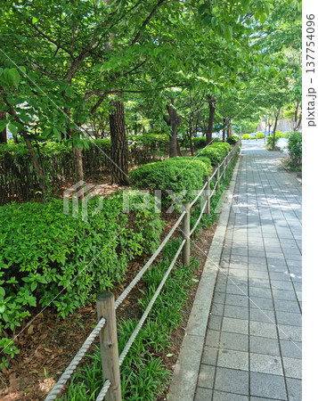 walking path walking path 137754096