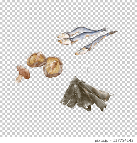 水彩で描いた煮干しと昆布と干し椎茸のイラスト 水彩で描いた煮干しと昆布と干し椎茸のイラスト 137754142
