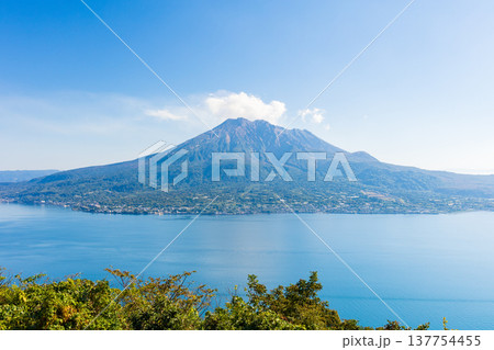 秋の鹿児島県鹿児島市 吉野公園から桜島を望む 秋の鹿児島県鹿児島市 吉野公園から桜島を望む 137754455