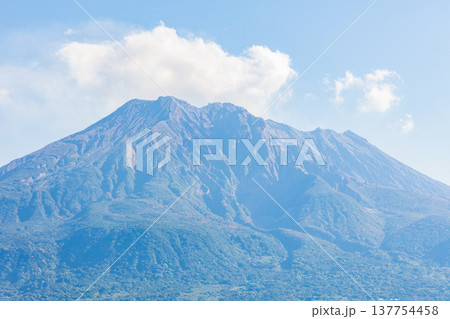 秋の鹿児島県鹿児島市　吉野公園から桜島を望む 137754458