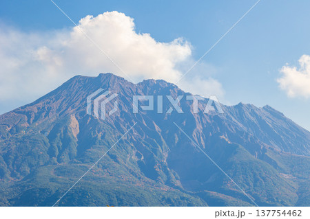 秋の鹿児島県鹿児島市 吉野公園から桜島を望む 秋の鹿児島県鹿児島市 吉野公園から桜島を望む 137754462