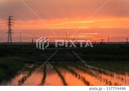 高速道路に沈む夕焼け空と田んぼのリフレクション 高速道路に沈む夕焼け空と田んぼのリフレクション 137754496