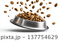 Dry cat food pet bowl kibble flying isolated white background stainless steel meal pet care nutrition Dry cat food flying from tilted pet bowl 137754629