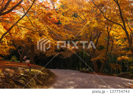 秋の長崎県雲仙市　紅葉の三十路苑 137754743