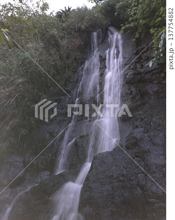 早朝の滝 137754882