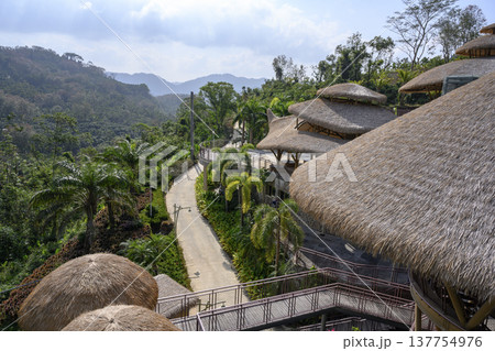 Huts with thatched roofs on the slope of jungle-covered mountains on Hainan Island in China Huts with thatched roofs on the slope of jungle-covered mountains on Hainan Island in China 137754976