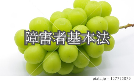【メンタルヘルス関連の法律】障害者基本法（背景：シャインマスカット） 137755079