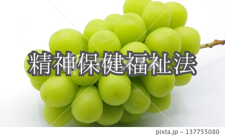 【メンタルヘルス関連の法律】精神保健福祉法（背景：シャインマスカット） 137755080