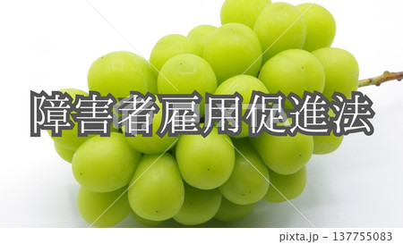 【メンタルヘルス関連の法律】障害者雇用促進法（背景：シャインマスカット） 137755083